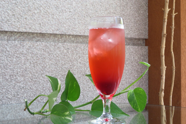 仙人ソーダ　Pomegranate Soda